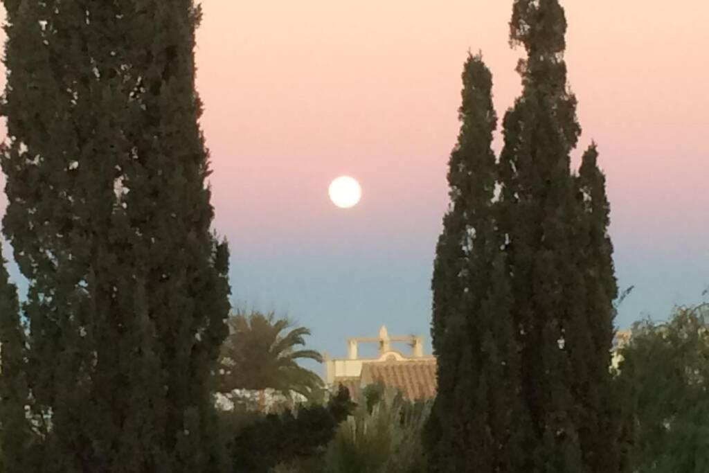 Privates Ferienhaus Villa De Paz - Costa Blanca Orihuela Esterno foto